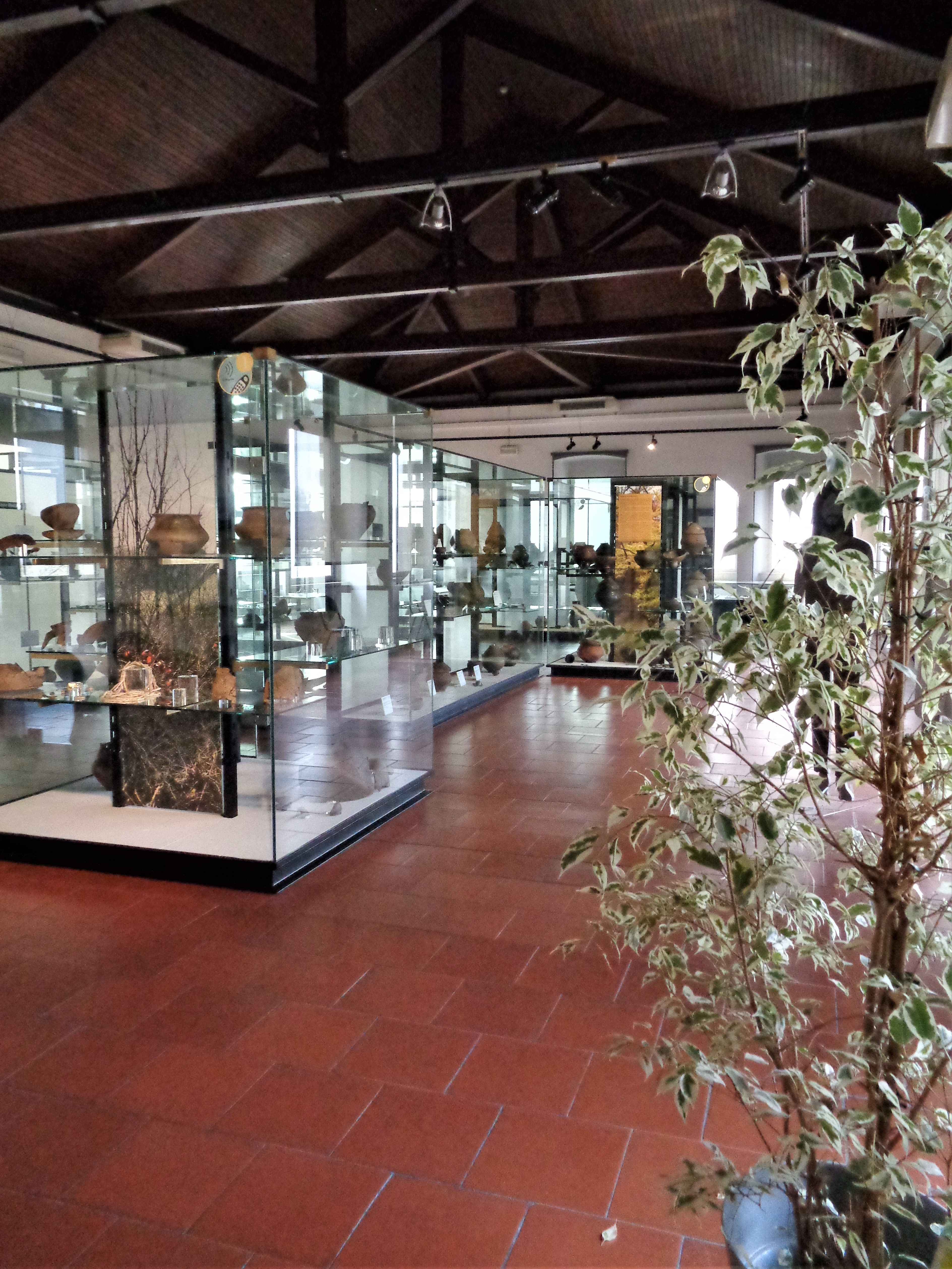 Museo di Sesto Calende