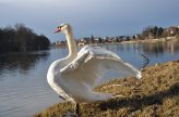  Il Fiume e il Lago