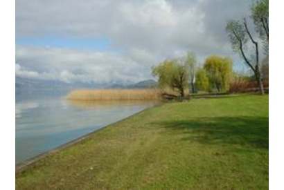 lisanza01