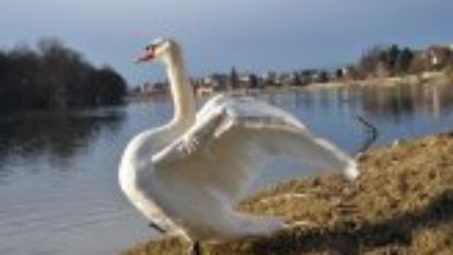 Il Fiume e il Lago Il Fiume e il Lago