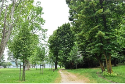 Parco Europa