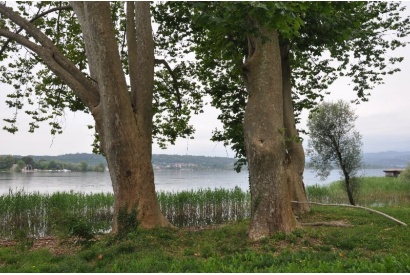 Parco Europa