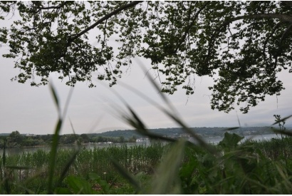 Parco Europa